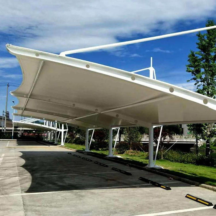 沧县膜结构汽车棚